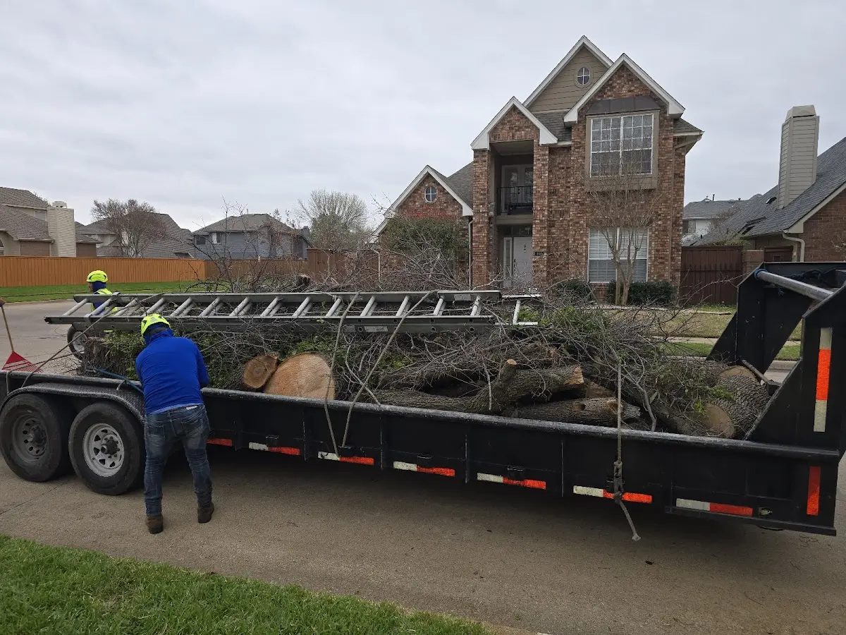 Expert Tree Removal with proper safety equipment in North Little Rock
